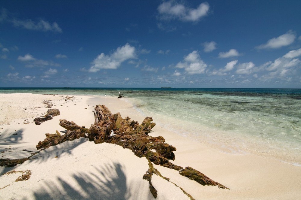 Gladden Spit And Silk Cayes Marine Reserve