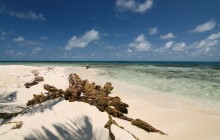Gladden Spit And Silk Cayes Marine Reserve