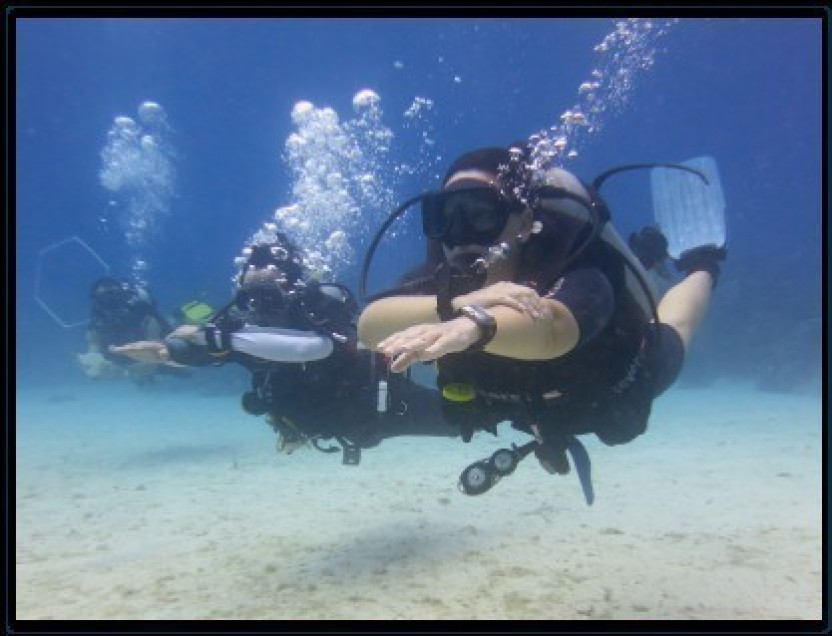 PADI Dive Master Course