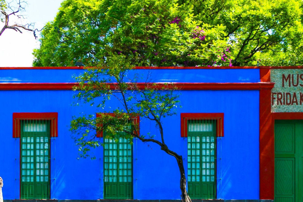 Small Group Coyoacan Tacos Tour & Frida Kahlo Museum Tickets