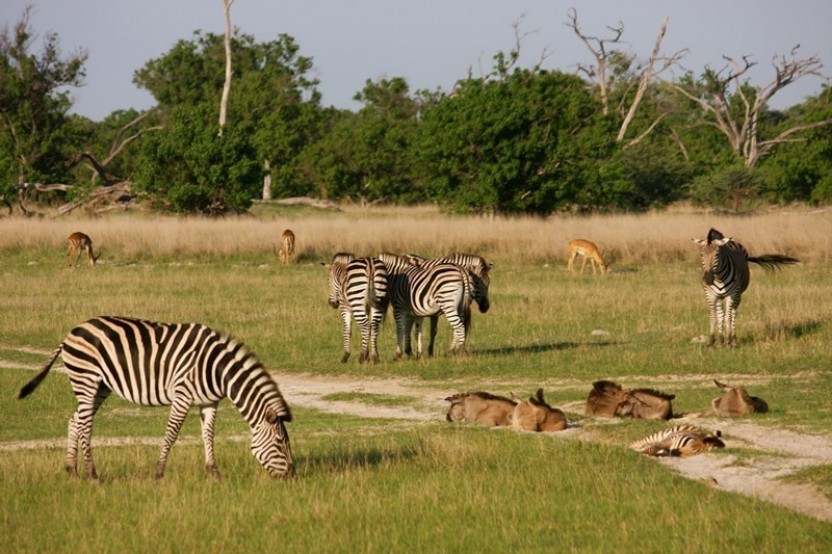 Botswana Okavango Delta Expedition