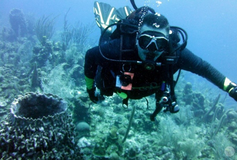 Discover Scuba Diving