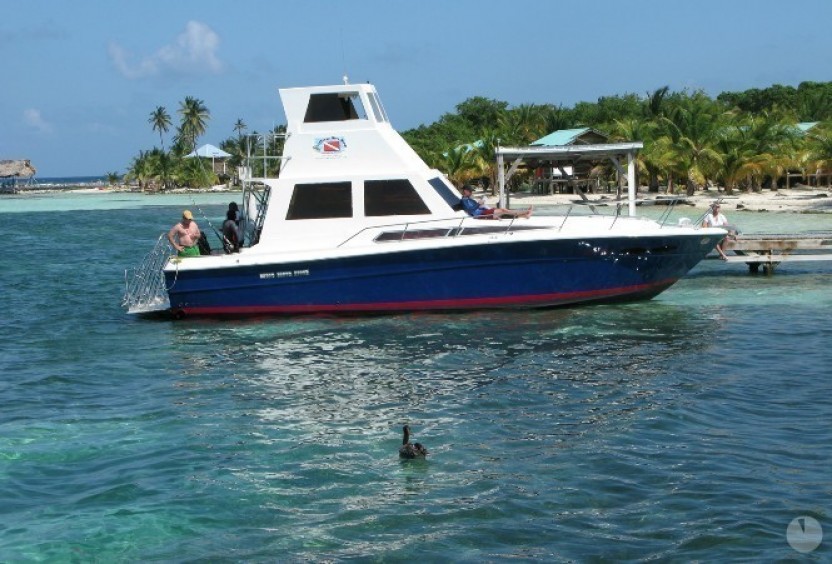 Local Barrier Reef Snorkeling