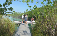 Tulum Adventure9