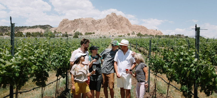 Wineries & Art Tour from Taos