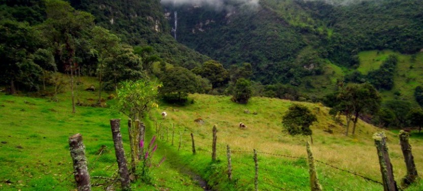 Private: Waterfall La Chorrera de Choachí Hike Tour