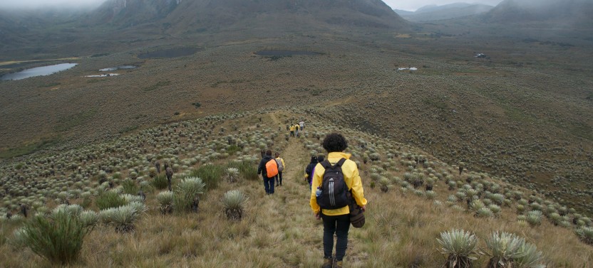 Private: Sumapaz Moorlands Hike Tour