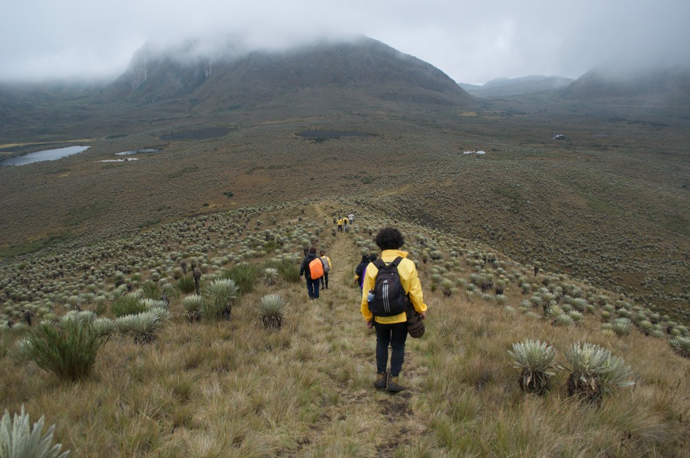 Private: Sumapaz Moorlands Hike Tour