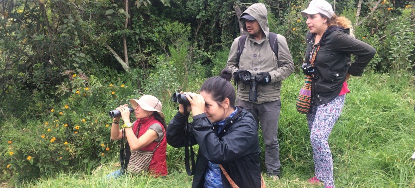 Private: Birdwatching Day Trip At Chicaque Natural Park
