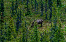 Northern Epics2