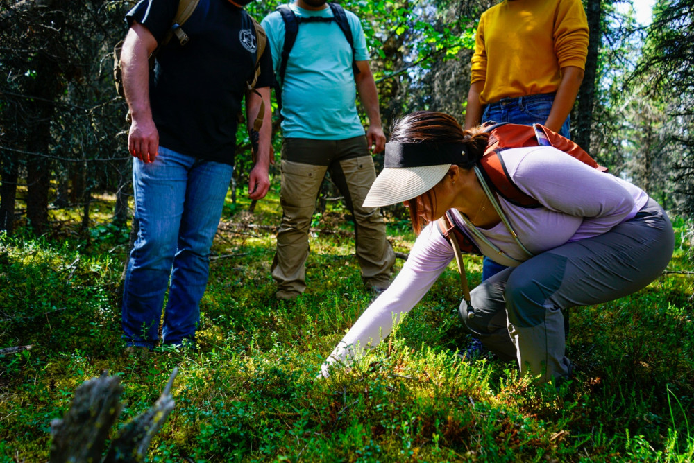 4 Hour Wilderness Wonders Tour