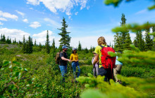Northern Epics8
