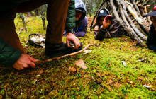 Northern Epics15