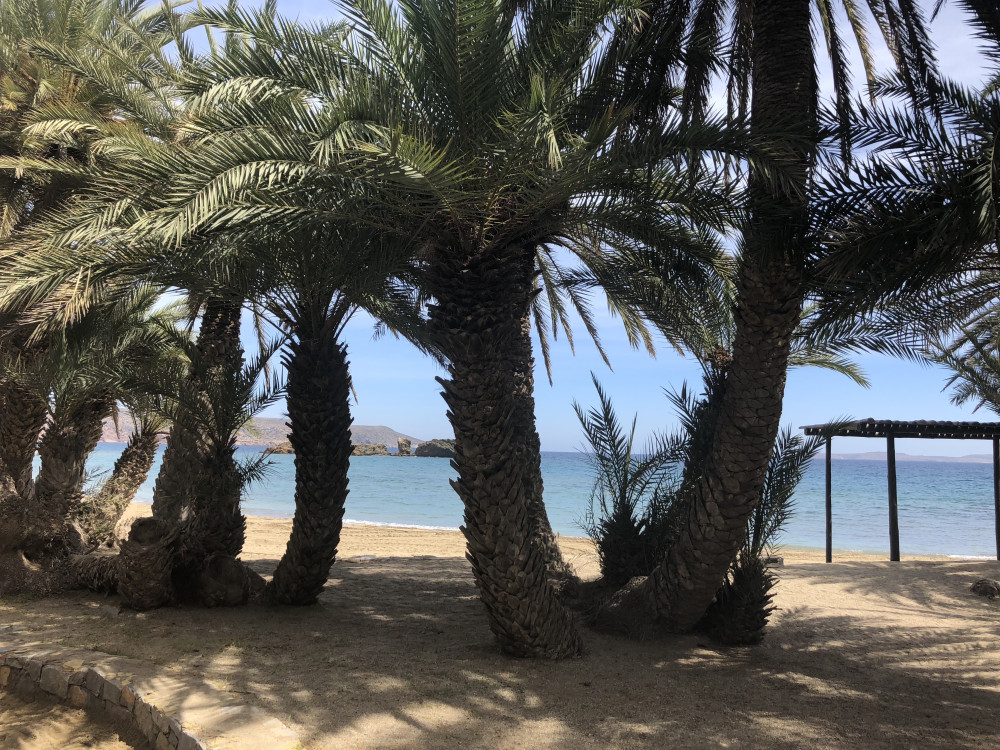 Vai Beach and Toplu Monastery VIP Luxury Private Tour - Full Day