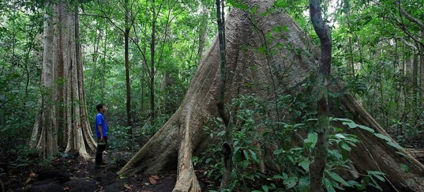 2 Day Tour: Discover Cat Tien National Park