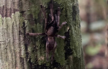 THE SUN CONSTRUCTION AND TOURIST SERVICE CO., LTD4