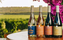 Sagres Discovery Off-Road Tours7