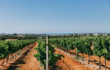 Sagres Discovery Off-Road Tours2