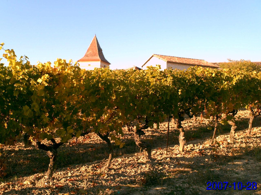 Gaillac Wine Tour Small Group Half-Day Tour From Toulouse