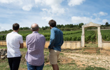 Bordovino Wine Tasting Day Tours3
