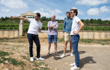 Bordovino Wine Tasting Day Tours4