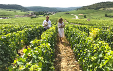 Bordovino Wine Tasting Day Tours1