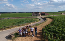 Bordovino Wine Tasting Day Tours7