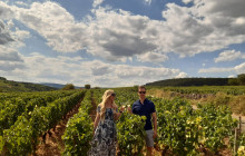 Bordovino Wine Tasting Day Tours8