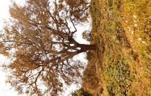 Sagres Discovery Off-Road Tours6