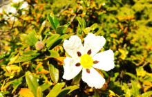 Sagres Discovery Off-Road Tours17