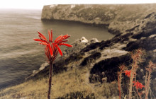 Sagres Discovery Off-Road Tours19