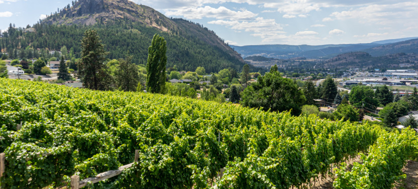 4-Day Canadian Rockies Summer Classic Tour with Glacier & Wine Tasting