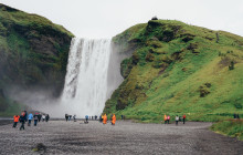 Your Friend in Reykjavik7