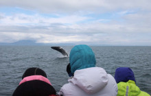 Your Friend in Reykjavik10