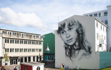 Your Friend in Reykjavik2