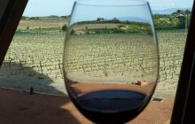 Vitoria and La Rioja Wine Area Full Day Tour