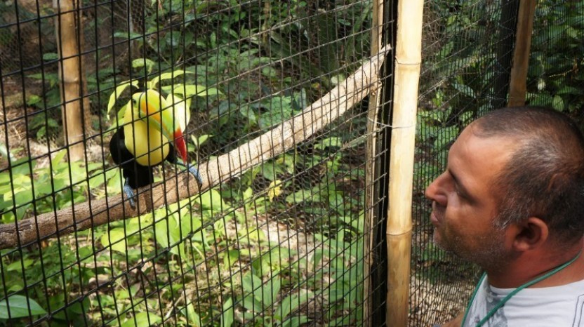 Belize Zoo & Zip Lining