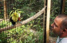 Belize Zoo & Zip Lining