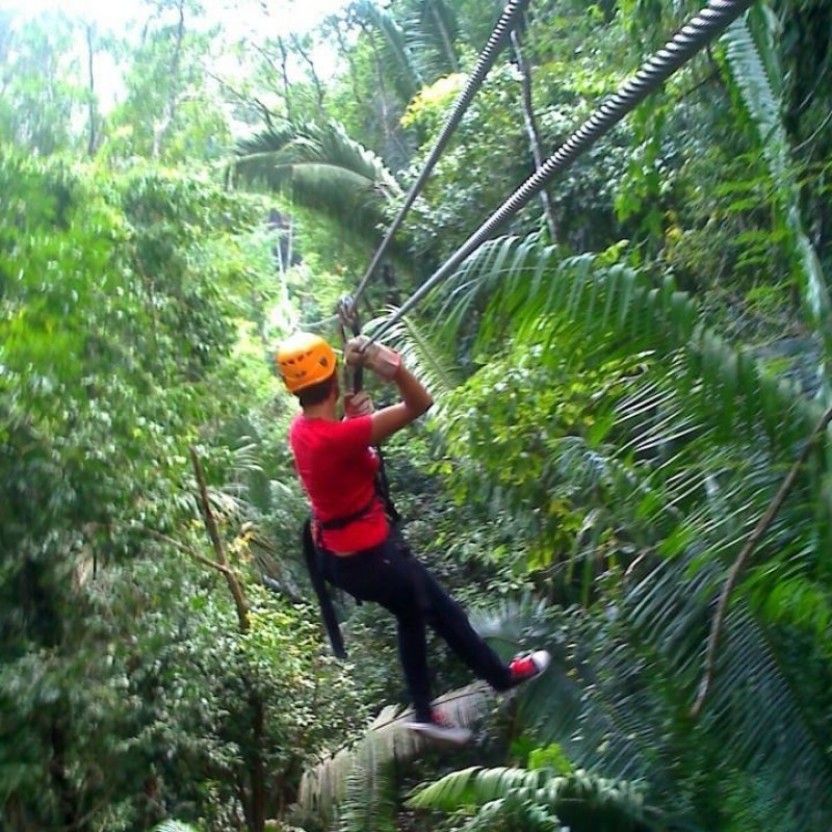 Altun Ha Mayan Ruins & Zip Lining