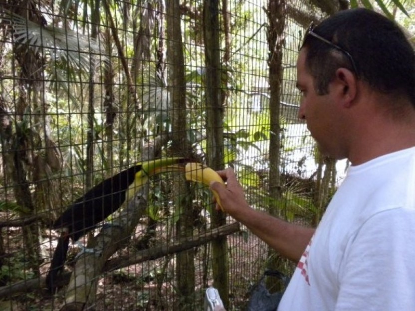 The Belize Zoo, Rainforest Trek & Cave Tubing,