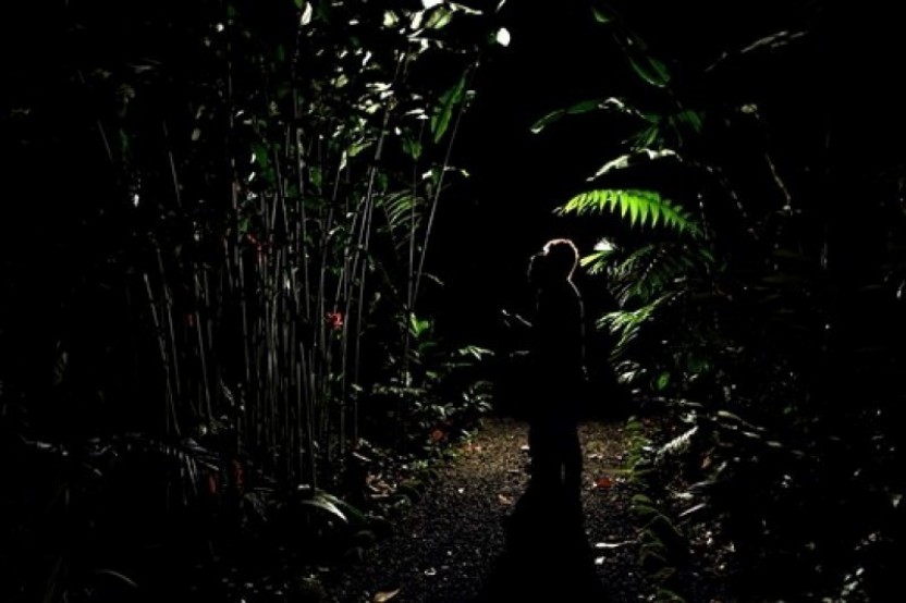 Ecocenter Danaus Night Walk