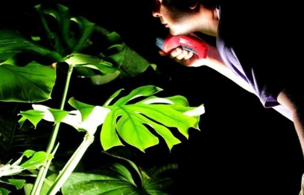 Ecoterra CR