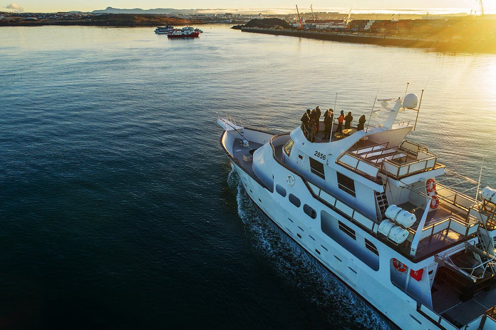 Reykjavik Whale Watching Adventure in a Yacht