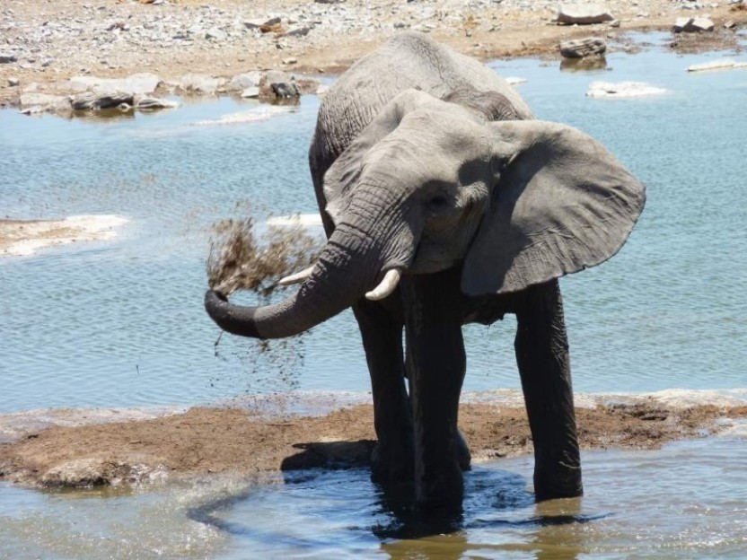 7 Day Namibian Highlights