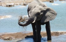7 Day Namibian Highlights Safari Package