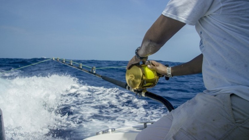 Pelagic: Spin Fishing (Lagoon) Full Day