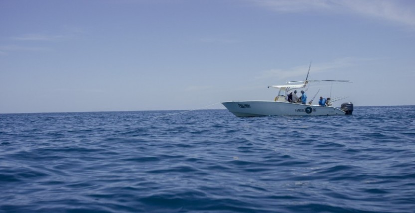 The Pelagic: Outer Reef Full Day