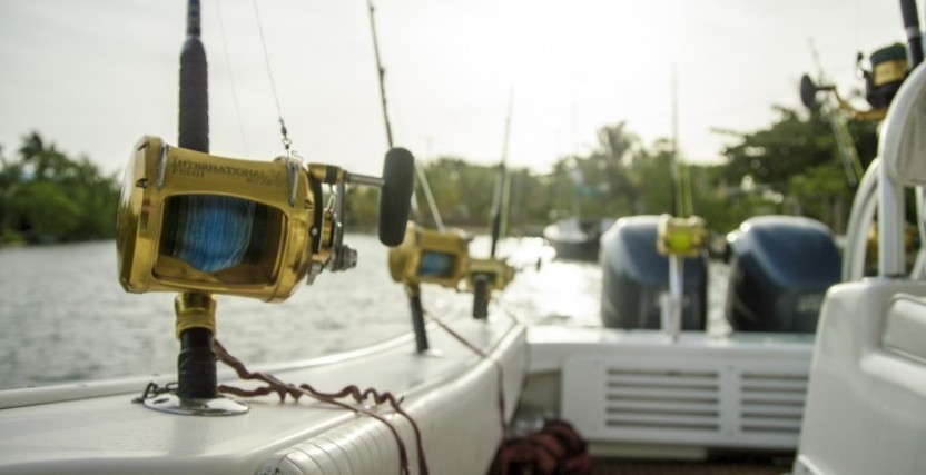 The Pelagic: Trolling Full Day