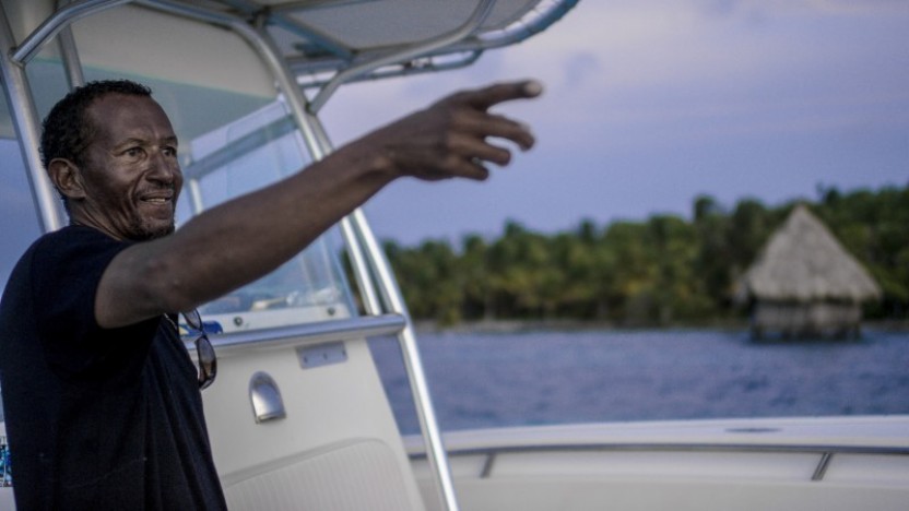 The Pelagic: Inner Reef Fishing Full Day