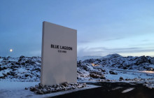 Your Friend in Reykjavik4
